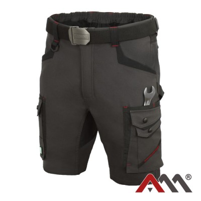 Pantaloni scurti de protectie Professional4DYNAMIC foto