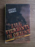 Craciun Ionescu - Zile fierbinti in Orient