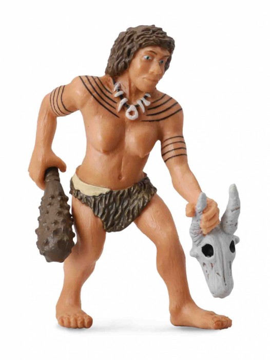 Femeia de Neanderthal- Collecta