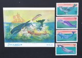 SOMALIA-1999-BALENE-Serie 4 V.+1 Coala Mica**SOM 092