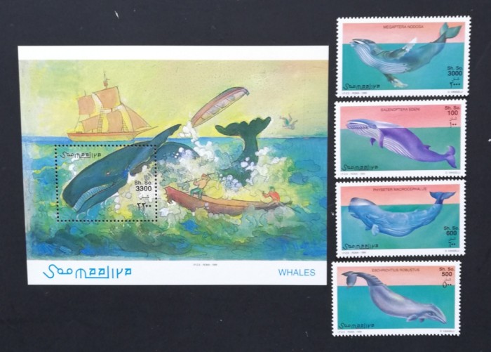 SOMALIA-1999-BALENE-Serie 4 V.+1 Coala Mica**SOM 092