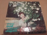 Disc vinil Tita Stefan