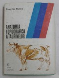 ANATOMIA TOPOGRAFICA A TAURINELOR de EUGENIU PASTEA , EXPLICATII IN LATINA , ENGLEZA , FRANCEZA , GERMANA , ROMANA , 1990