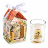 Cumpara ieftin Lumanare parfumata aroma Vanilie &Oslash; 5 cm x 6 H