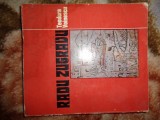 Radu Zugravu ( zugrav si iconar ) - Teodora Voinescu / 77 pagini + 103 ilustratii