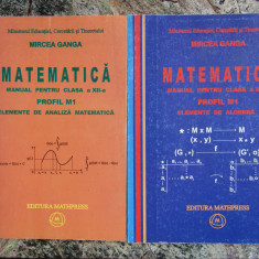 MIRCEA GANGA MATEMATICA MANUAL PENTRU CLASA A XII-A 2 VOLUME 2007