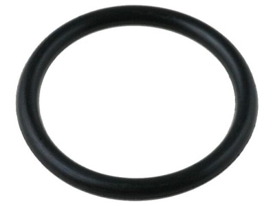 O-ring Set 10 bucăți foto
