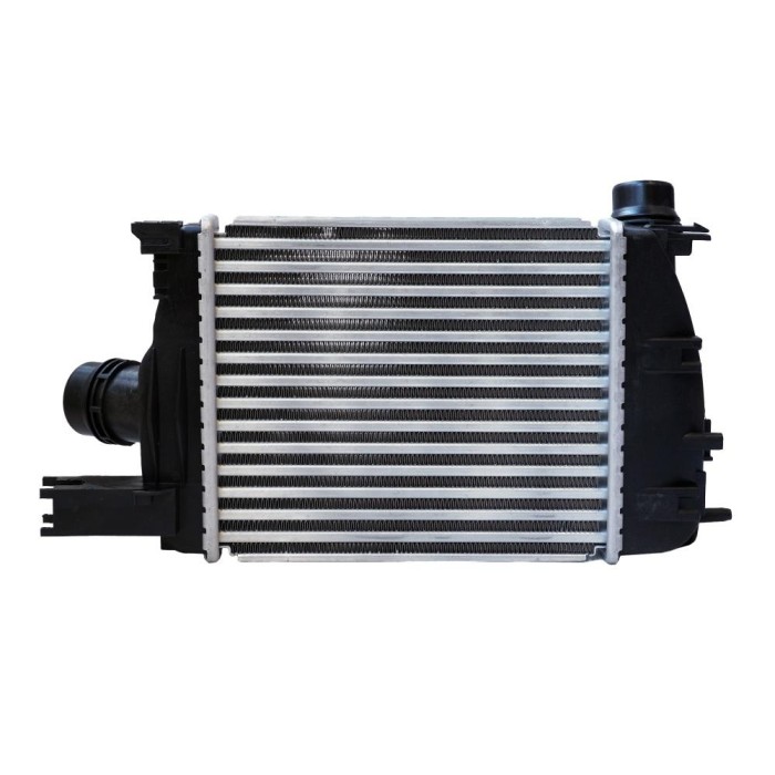 Radiator Intercooler Iv Captur 540296 TH.03.034