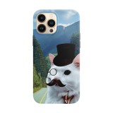 Husa compatibila cu Apple iPhone 12 model Gentlecat, Silicon, TPU, Viceversa, Transparent, Carcasa