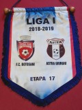 Fanion (oficial-protocol) meci fotbal FC BOTOSANI - ASTRA GIURGIU (etapa nr.17 sezonul 2018/2019)