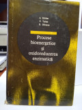 A. Cristea et al., Procese bioenergetice și oxidoreducerea enzimatică