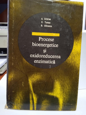 A. Cristea et al., Procese bioenergetice și oxidoreducerea enzimatică foto