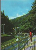 CPI B14590 - CARTE POSTALA - SLANIC MOLDOVA