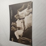 Carte postala embosata ,, Mandy " Printesa Maria , Ileana si Printul Nicolae