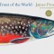 Trout of the World