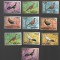 bhutan mnh