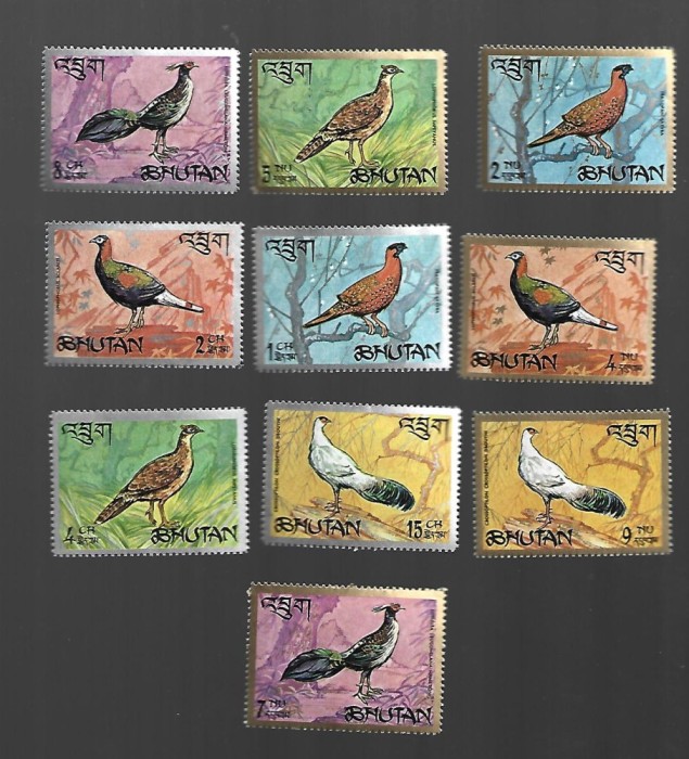 bhutan mnh