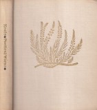 John Keats - Poetical Works
