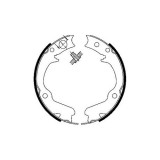 Set saboti frana mana Delphi LS1899, parte montare : Punte Spate