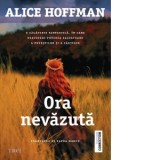 Ora nevazuta - ALICE HOFFMAN