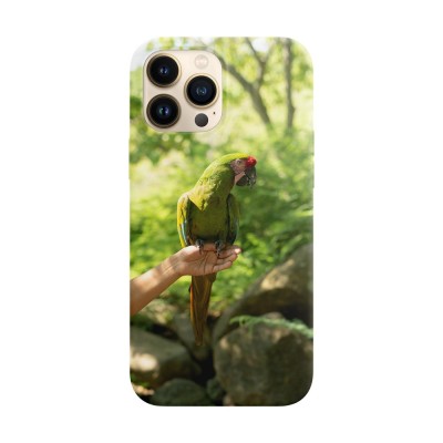 Husa compatibila cu Apple iPhone 14 Plus model Buffon macaw, Silicon, TPU, Viceversa foto
