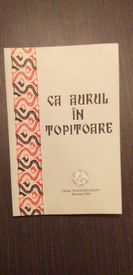 CA AURUL IN TOPITOARE - DIN EXPERIENTELE MULT-PATIMITORULUI ANASTASIE MALAMAS foto