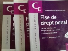 Fise de drept penal pentru admiterea in magistratura si avocatura 1, 2, 3- Alexandru Boroi, Simona Anghel foto