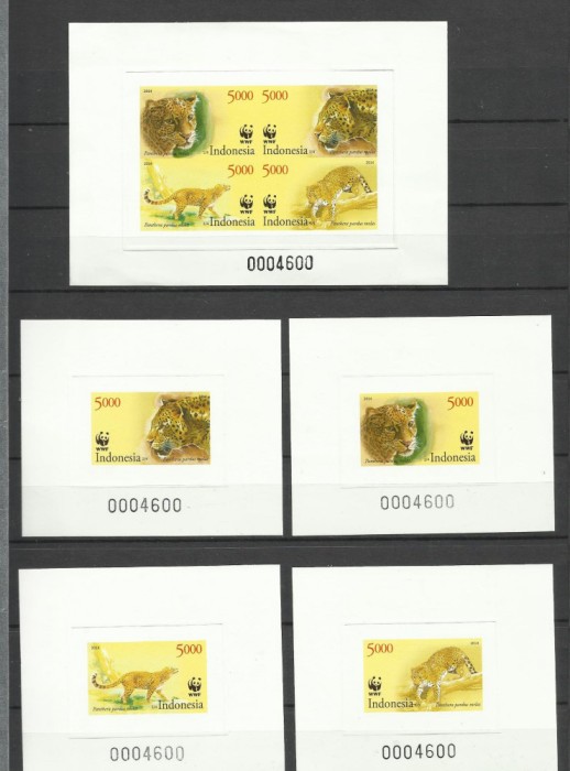 INDONESIA 2014 WWF FAUNA PROTEJATA LEOPARZI DELUXE COLITE