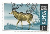 Kenya - Mamifere, 1966 - valoare obliterata