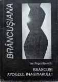 Brancusi Apogeul imaginarului - 2000 - Ion Pogorilovschi (xx242)