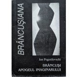 Brancusi Apogeul imaginarului - 2000 - Ion Pogorilovschi (xx242)