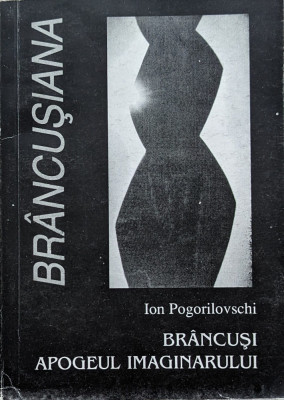 Brancusi Apogeul imaginarului foto