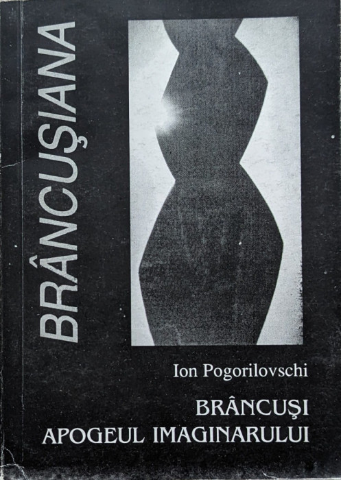 Brancusi Apogeul imaginarului