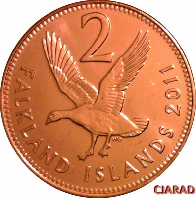 Moneda exotica 2 PENCE - Insulele FALKLAND, anul 2011 *cod 3586 = UNC din FASIC foto