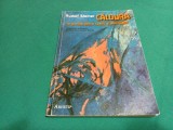 CĂLDURA LA GRANIȚA DINTRE SPAȚIU ȘI ANTISPAȚIU *IMPULSURI SPIRITUALE / RUDOLF STEINER /2002 *56