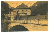 2222 - Baile HERCULANE, Caras-Severin, Bridge, Romania - old postcard - unused, Necirculata, Printata