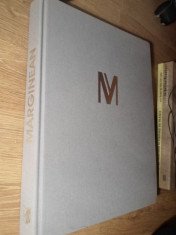 VIOREL MARGINEAN, PICTURA, DESEN, OBIECT. ALBUM DE ARTA-VIOREL MARGINEAN-234223