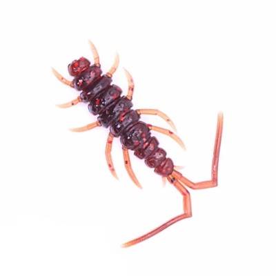 Năluca soft Perchik Stalker 1.6&amp;Prime; 4cm 002 foto