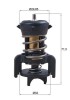 MAHLE TX 251 94D termostat,lichid racire