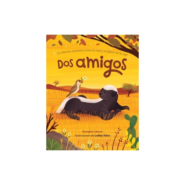 DOS Amigos: La Relaci
