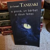 O pisica, un barbat si doua femei - un Ichiro Tanizaki