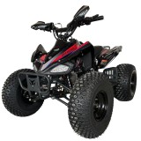 ATV Ranger 125cc 4T, Roti 8 Inch, Benzina, Cutie Automata, Negru