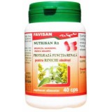 SPLINUTA,SANZIENE,URZICA MOARTA- NUTRISAN R2 - 40cps FAVISAN