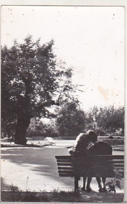 bnk cp Iasi - Teiul lui M Eminescu din gradina Copou - uzata foto