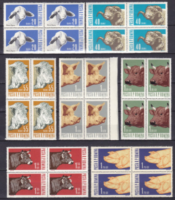 ROMANIA 1962 LP 552 ANIMALE DE RASA BLOCURI DE 4 TIMBRE MNH foto