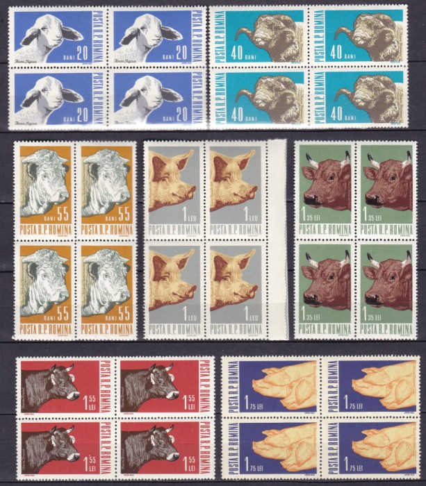 ROMANIA 1962 LP 552 ANIMALE DE RASA BLOCURI DE 4 TIMBRE MNH