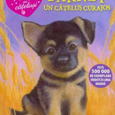 Barney, un cățeluș curajos - Hardcover - Holly Webb - Litera