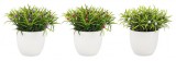 Cumpara ieftin Set 3 plante artificiale 9.7x16 cm