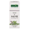 TINCTURA SALVIE TM 50ML, Plantextrakt