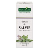TINCTURA SALVIE TM 50ML, Plantextrakt